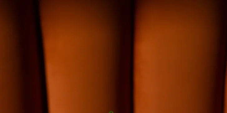 Sladké aj slané raňajky v Clique pri Eurovei s kávou a čerstvou šťavou