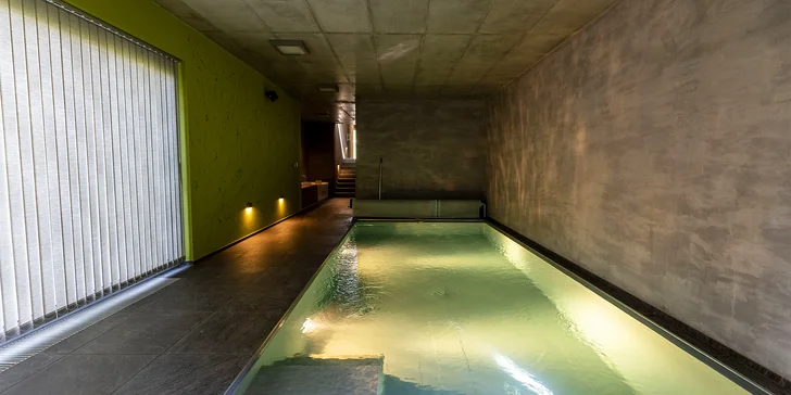 Moderný apartmán s vlastným wellness, bazénom a krbom vo Veľkých Popoviciach