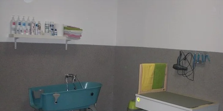 Strihanie a kompletná starostlivosť o psíka