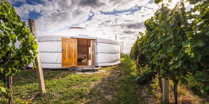 Pobyt na južnej Morave: vybavené jurty uprostred vinice s terasou a ohniskom