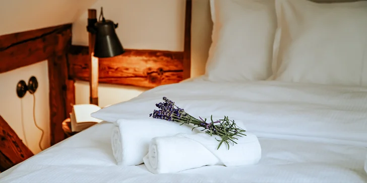 Pobyt v dome Hany Hegerovej s degustáciou jej obľúbených pokrmov, vstupom do Thermal Nesvady či zážitkovým varením