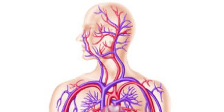 Vyšetrenie ciev a srdca prístrojom Medexpert-TensioMed Arteriograph rýchlo a bezbolestne