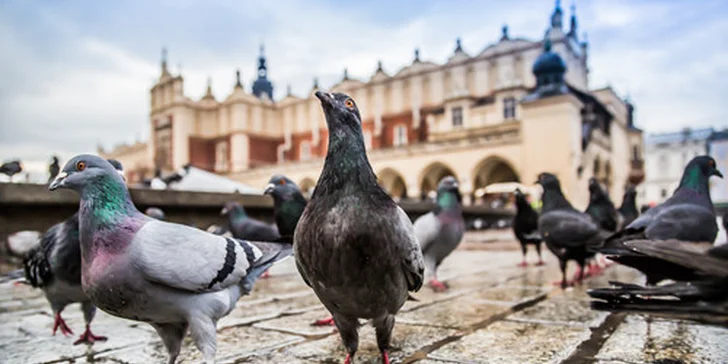 Romantický pobyt pre 2 osoby v centre Krakova