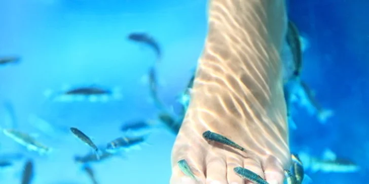 Biopedikúra rybičkami Garra Rufa už aj v Žiline