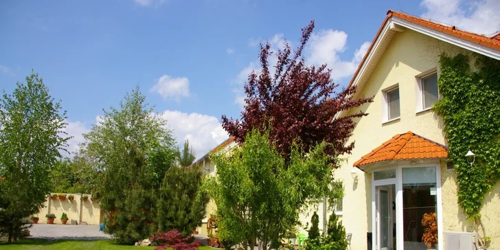 54 eur za 2-dňový pobyt pre dve osoby v prekrásnom rodinnom penzióne Rustica s garanciou maximálnej spokojnosti. Boj proti stereotypu v romantickom prostredí so zľavou 50%!
