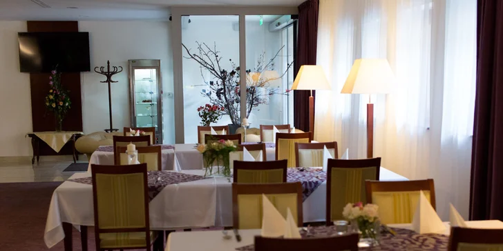 Luxusný pobyt v Hoteli PARK AVENUE**** Piešťany