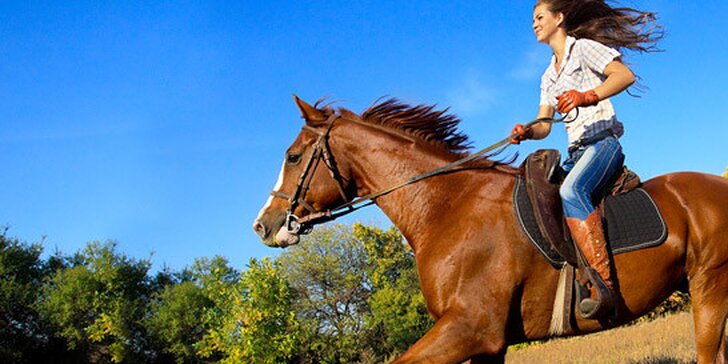 Vychutnajte si VO DVOJICI úžasný pohľad z konského sedla. Dôkladné základy jazdectva alebo vychádzka na koni vo voľnej prírode so zľavou 50 %!