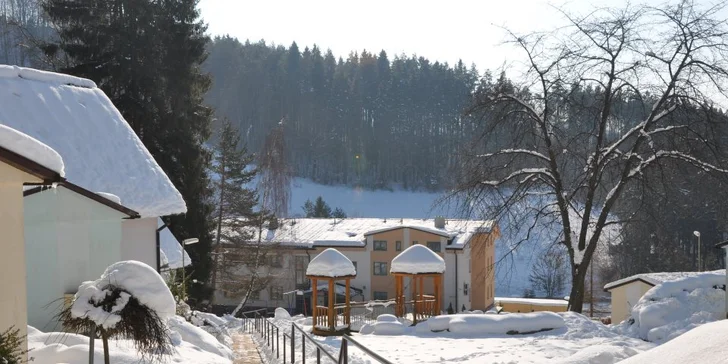 WELLNESS, LYŽOVAČKA a ALL INCLUSIVE VEČERA v Hoteli Remata*** + skipassy