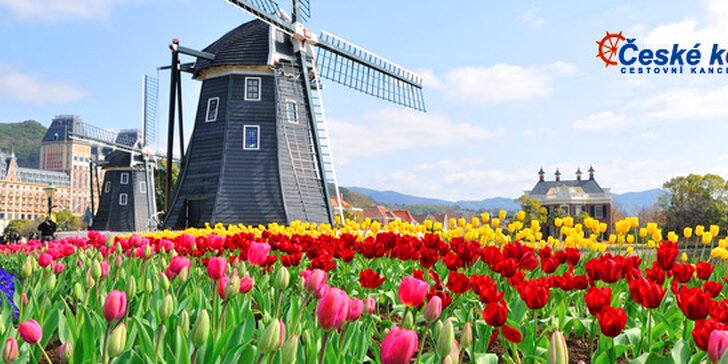 64 eur za jarný VÍKENDOVÝ ZÁJAZD do HOLANDSKA! Spoznajte krajinu veterných mlynov, rozkvitnutých tulipánov a zažite plavbu po večernom AMSTERDAME so zľavou 39%!