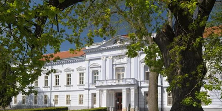 Romantický pobyt pre 2 osoby v Kaštieli Mojmírovce