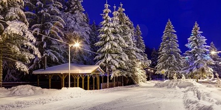 Prenájom chalúpky Saška pre 8-10 ľudí s wellness