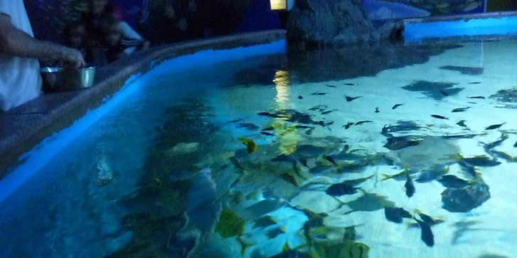 Budapešť Tropicarium a ZOO