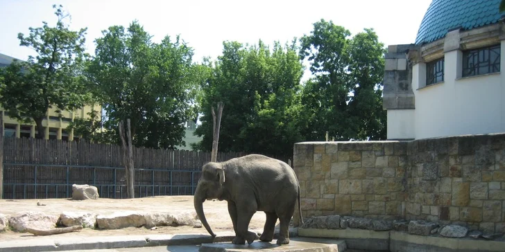 Budapešť Tropicarium a ZOO