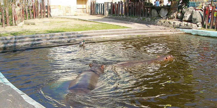Budapešť Tropicarium a ZOO