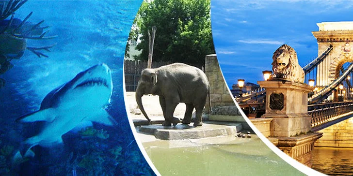 Budapešť Tropicarium a ZOO