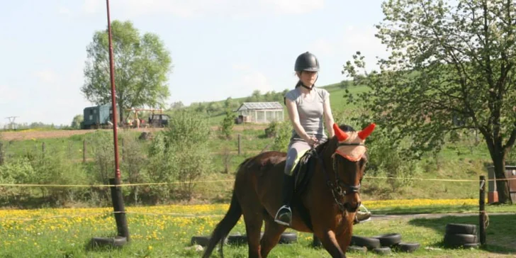 Hodina jazdy na koni s trénerom