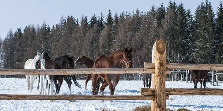 Dovolenka na ranči na Orave, bežkárske trate a 50 % zľavy na skipasy