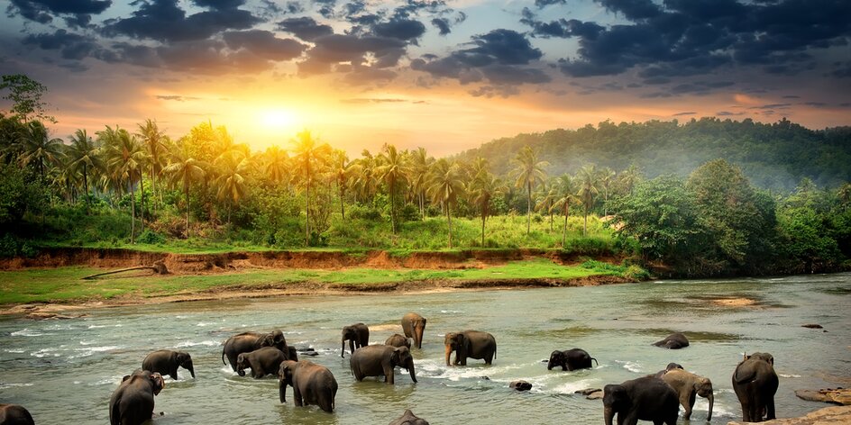 Spoznajte Srí Lanku, krajinu čajových plantáží, slonov a božskej prírody
