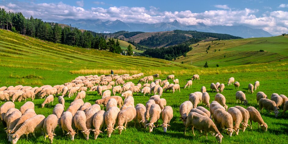 13 tipov na výlety na Liptove s deťmi. Navštívte Mini Slovensko či Medvediu štôlňu