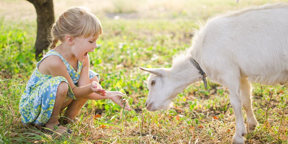 Vyrazte s deťmi na výlet za zvieratami! 43 fariem a mini zoo na Slovensku