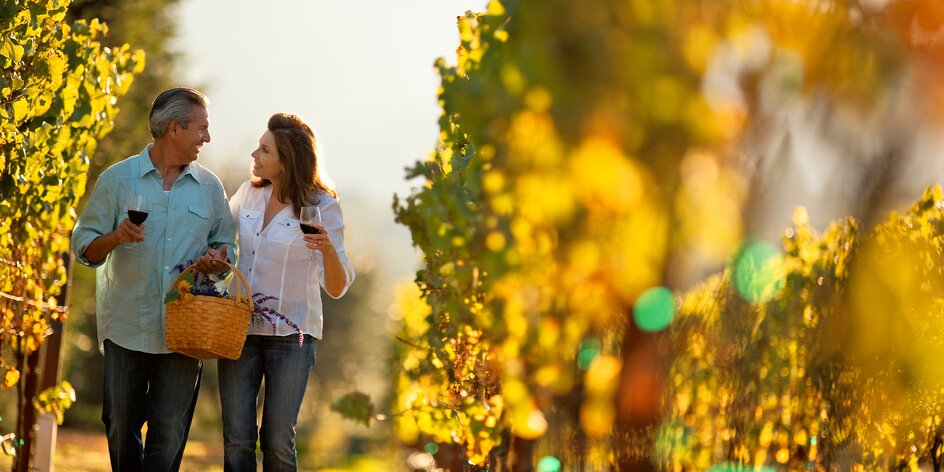 Netradičná degustácia, romantické prechádzky vo vinici aj dotyk vinárskej tradície: 7 pobytov pre milovníkov vína, ktoré vám určite zachutia