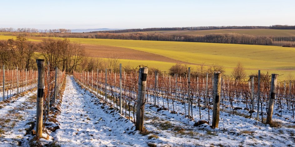 Za vínom na južnú Moravu: pobyt v penzióne aj s degustáciou