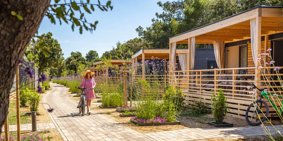 Chorvátsky ostrov delfínov a krásnych pláží