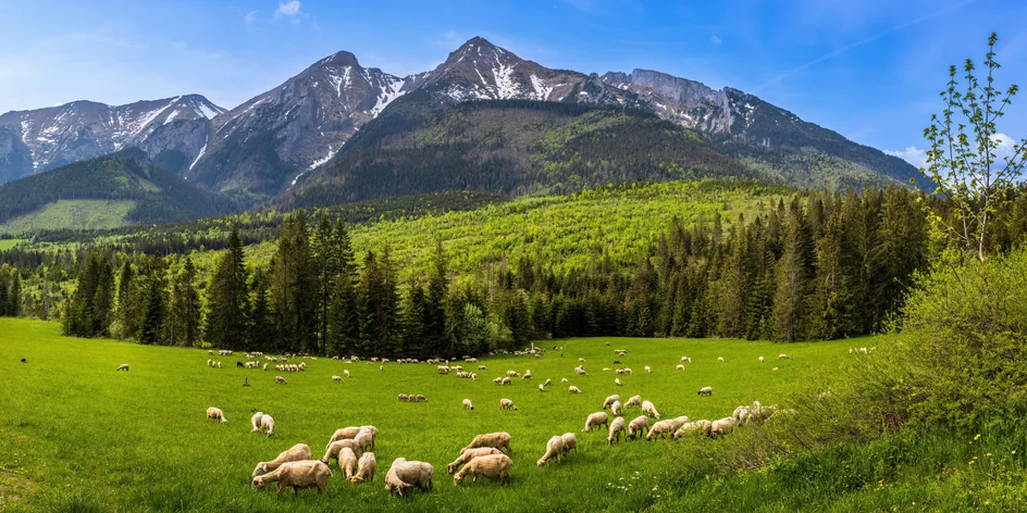 Belianske Tatry: Turistika bez davov, jedinečné miesta aj atrakcie pre deti