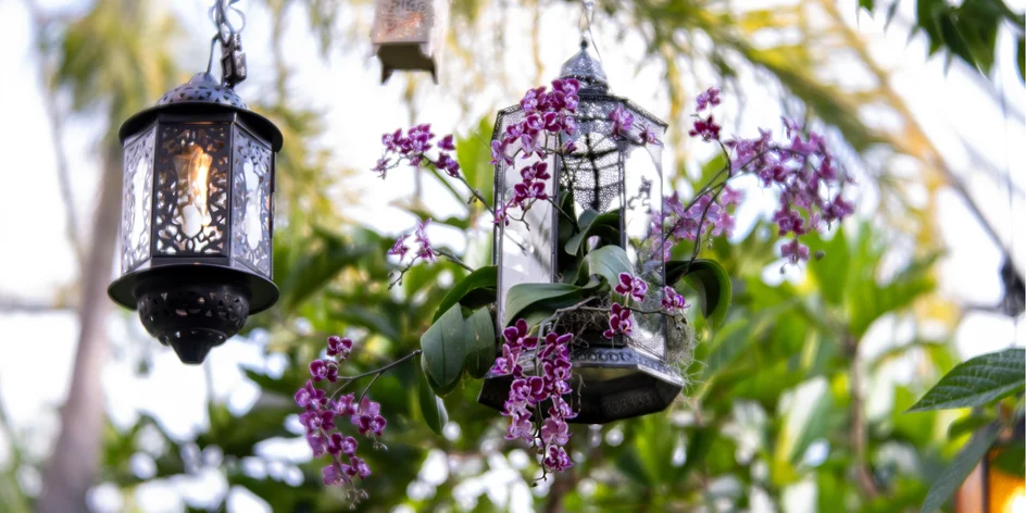 Zájazd na výstavu orchideí vo Viedni