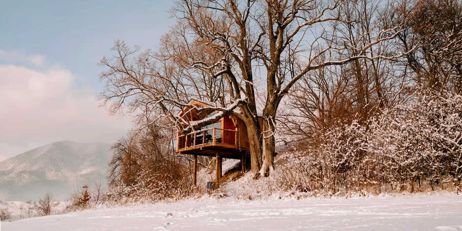 Pobyt v domčeku v korunách stromov na Orave