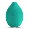 Vibrátor LIMON TEAL