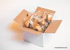 Koláčiky šťastia - 20 kusov - priesvitný obal