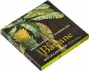 Ručne vyrobená mliečna čokoláda banány (70g)