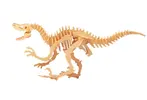 Velociraptor