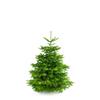 Vianočný stromček ViaBasic - do 125 cm