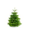 Vianočný stromček ViaBasic - do 150 cm