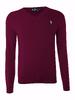 Pánský pullover Ralph Lauren | Veľkosť: S | Pale Violet - zelený znak