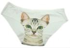 Dámske nohavičky s mačkou Intimidao | Veľkosť: M | Biela