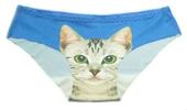 Dámske nohavičky s mačkou Intimidao | Veľkosť: M | Modrá