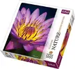 Puzzle NATURE 1000 Kvet Vodná ľalia