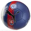 Lopta Puma Slovakia | Modrá