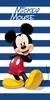 Osuška MICKEY 02