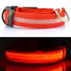 LED svietiaci obojok pre psíka | Veľkosť: M | Oranžová