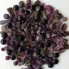 250 g Sklenený mix korálok + navliekacia gumička (fialový)