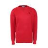 Pánsky sveter U.S. POLO ASSN V-Neck | Veľkosť: M | Red