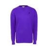 Pánsky sveter U.S. POLO ASSN V-Neck | Veľkosť: M | Purple