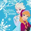 Magický uteráčik z bavlneného froté FROZEN 01