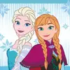 Magický uteráčik z bavlneného froté FROZEN 054