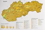 Stieracia mapa Slovenska (zlatá)