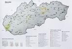 Stieracia mapa Slovenska (strieborná)